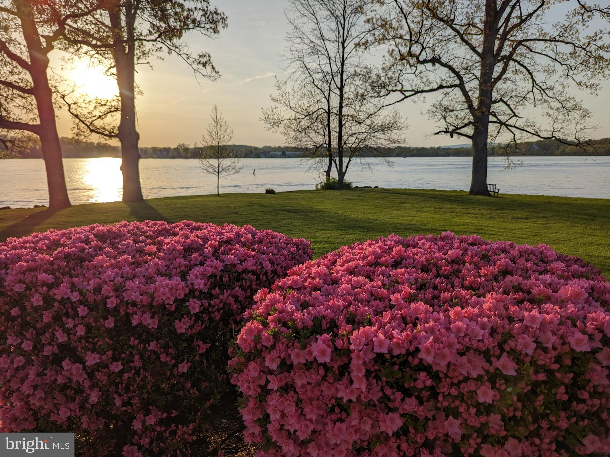 LAKE MEADE - Residential