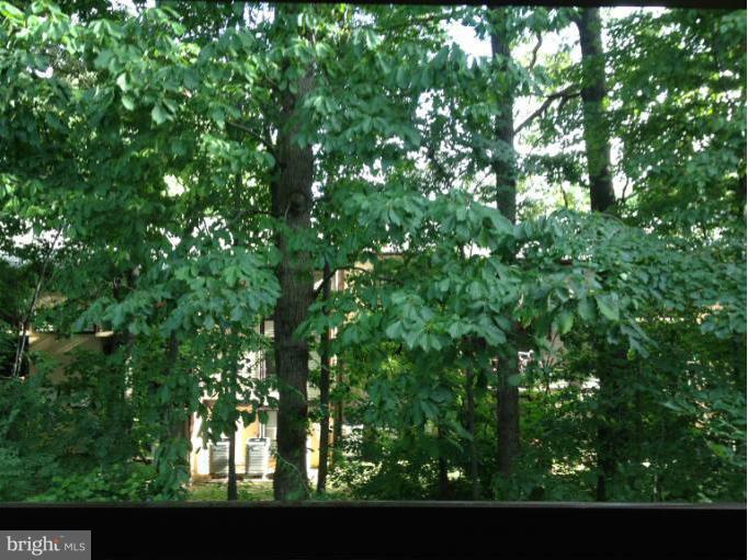 SHADOWOOD - Residential Lease