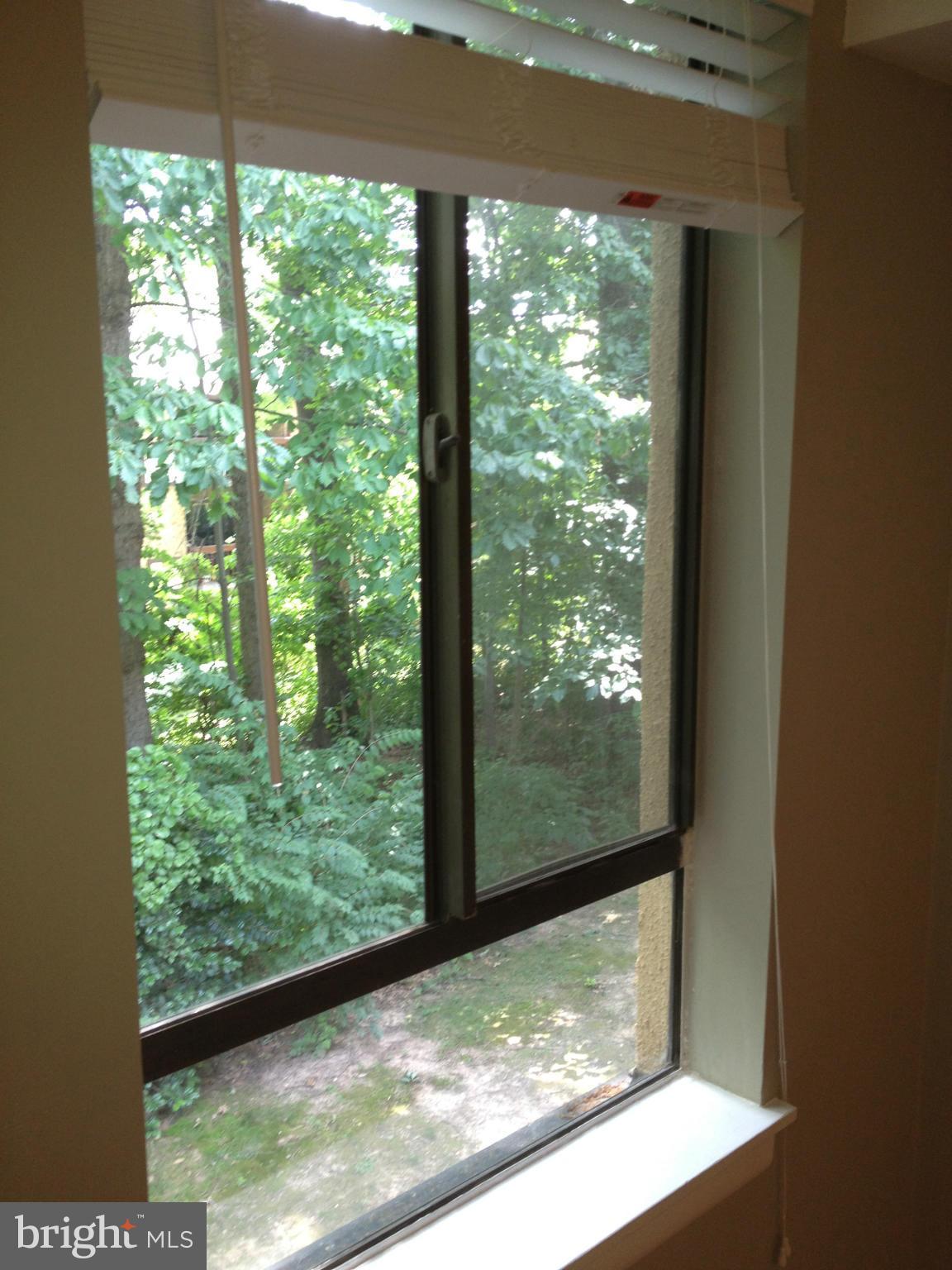 SHADOWOOD - Residential Lease