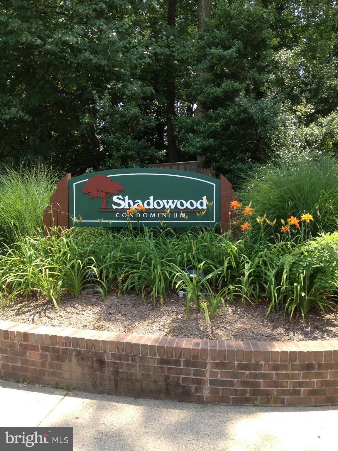 SHADOWOOD - Residential Lease