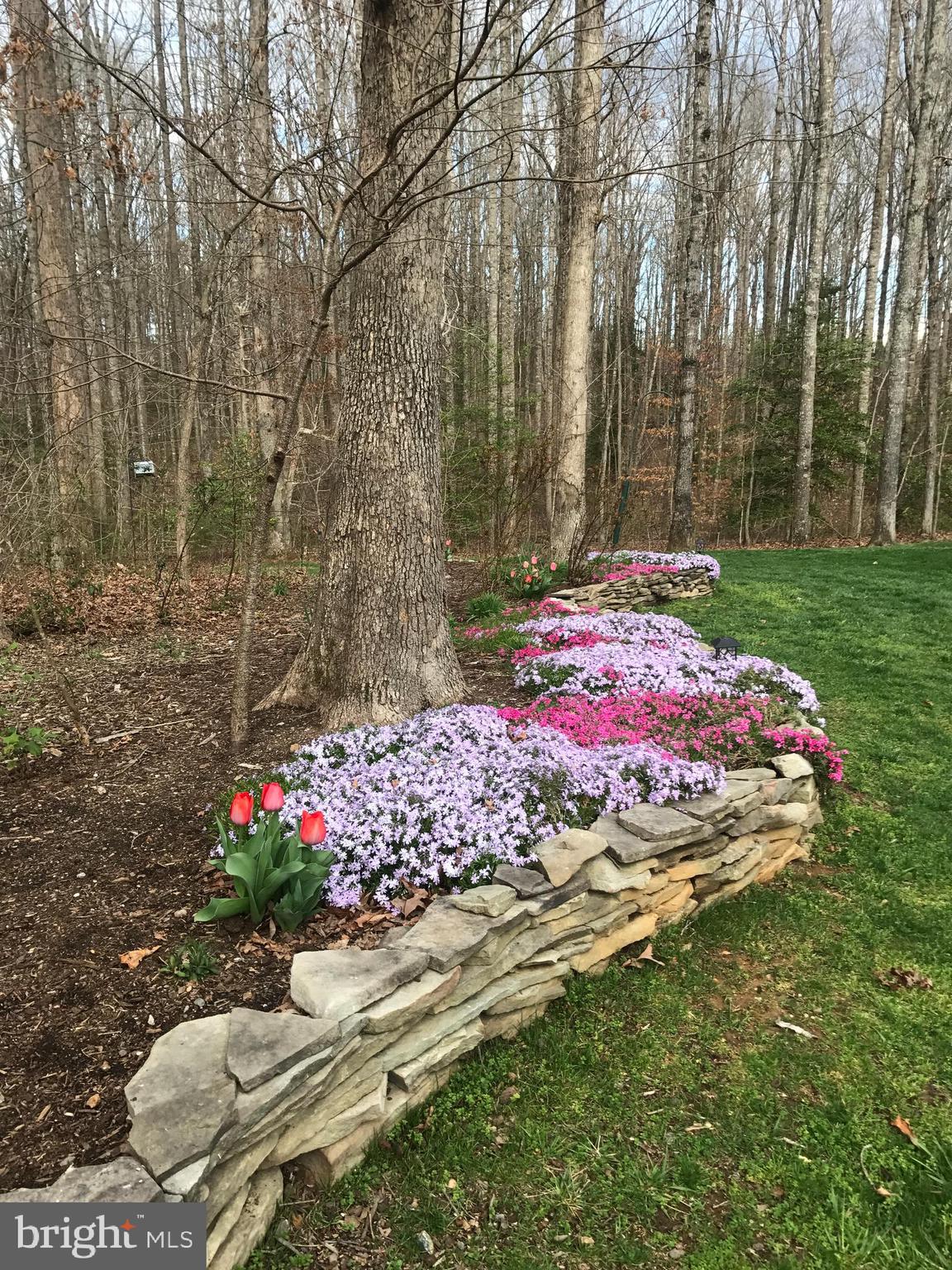 WOODS OF ADDISON - Residential