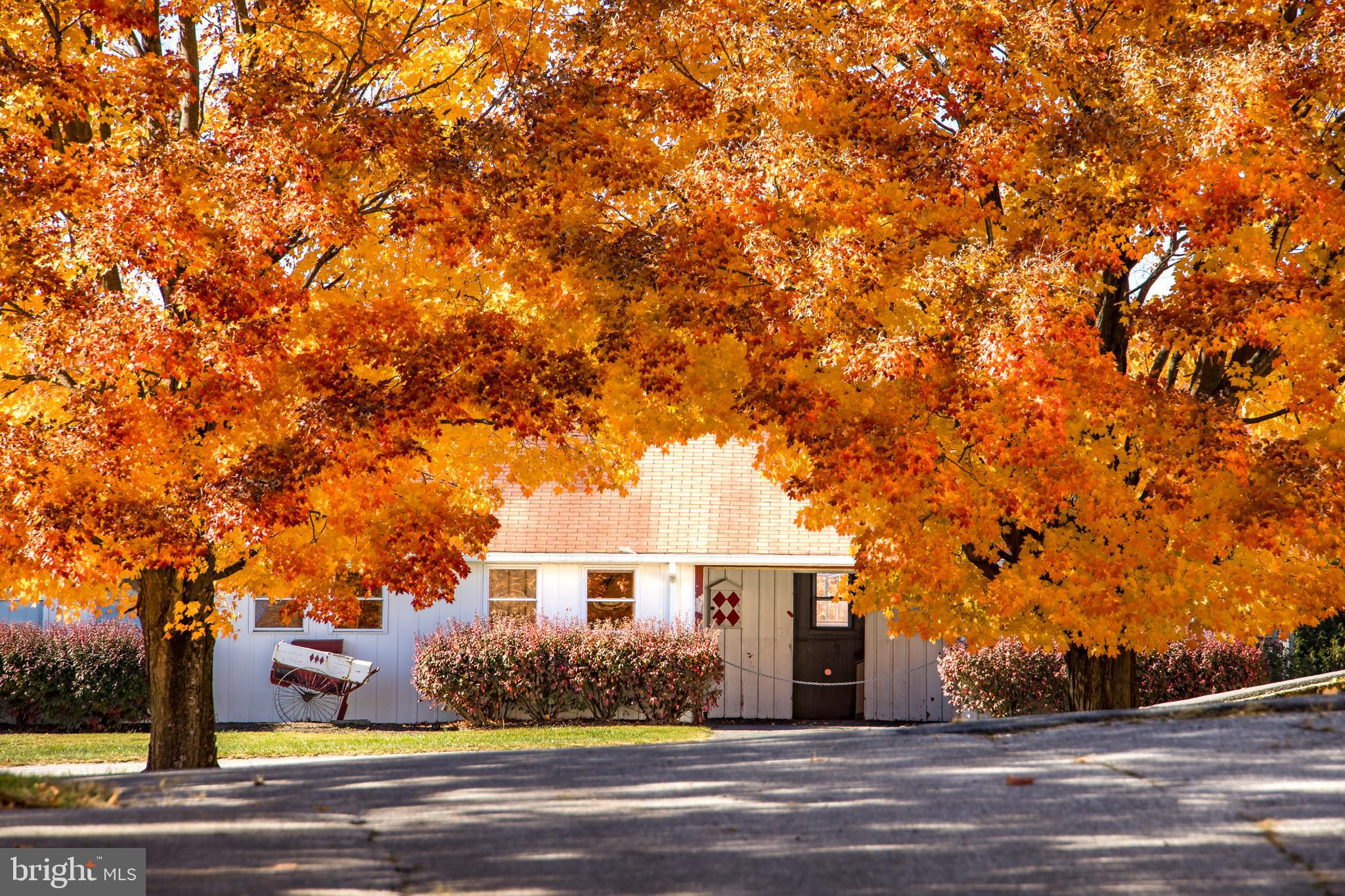 GLYNDON - Residential