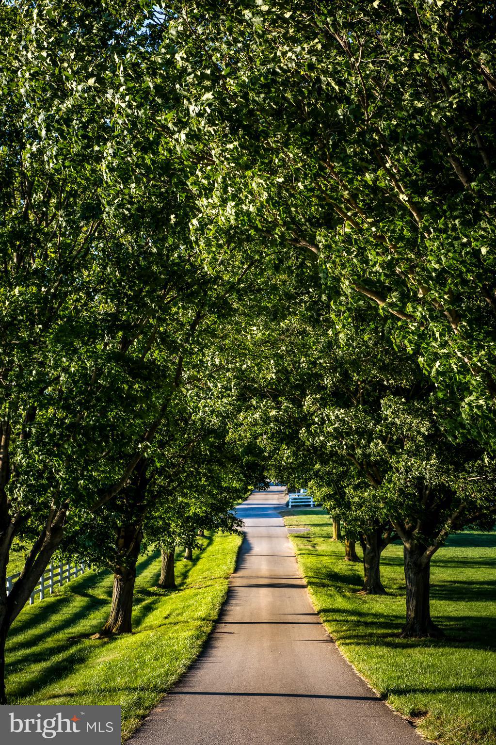 GLYNDON - Residential