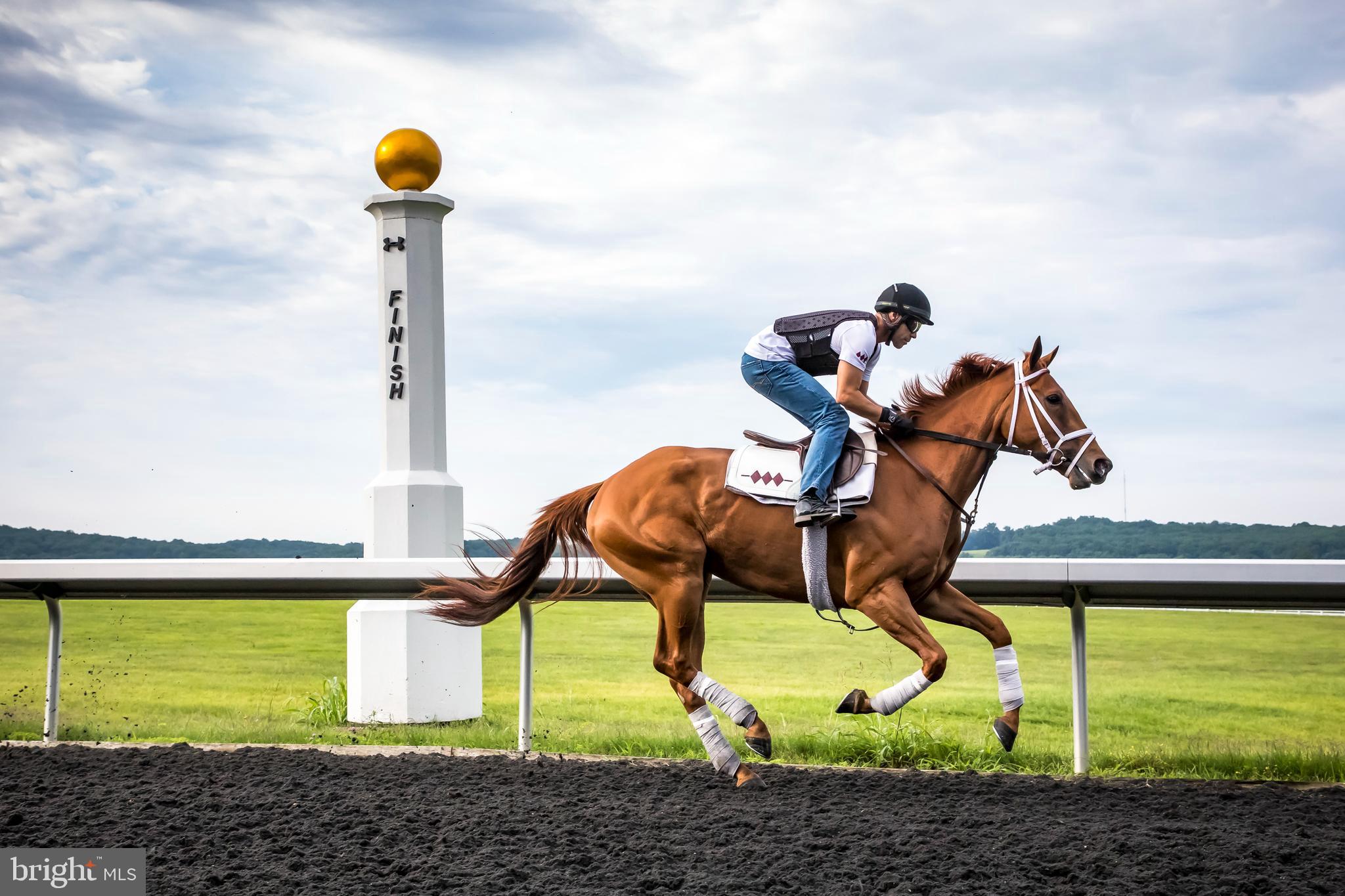 GLYNDON - Residential