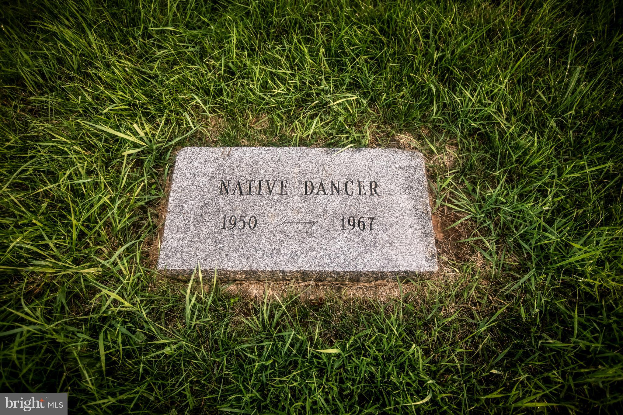 GLYNDON - Residential