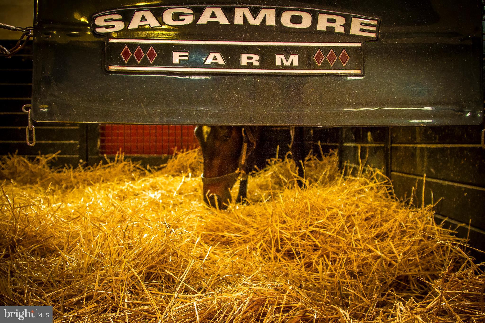 GLYNDON - Residential