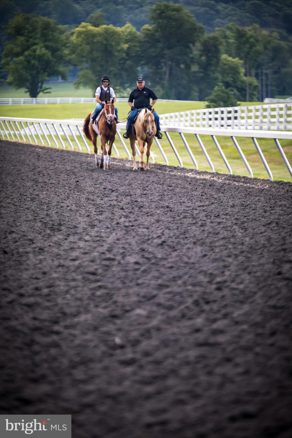 GLYNDON - Residential