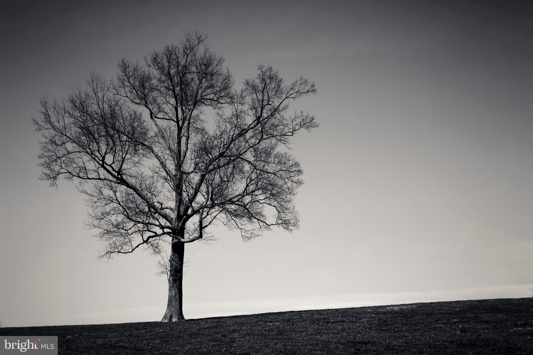 GLYNDON - Residential