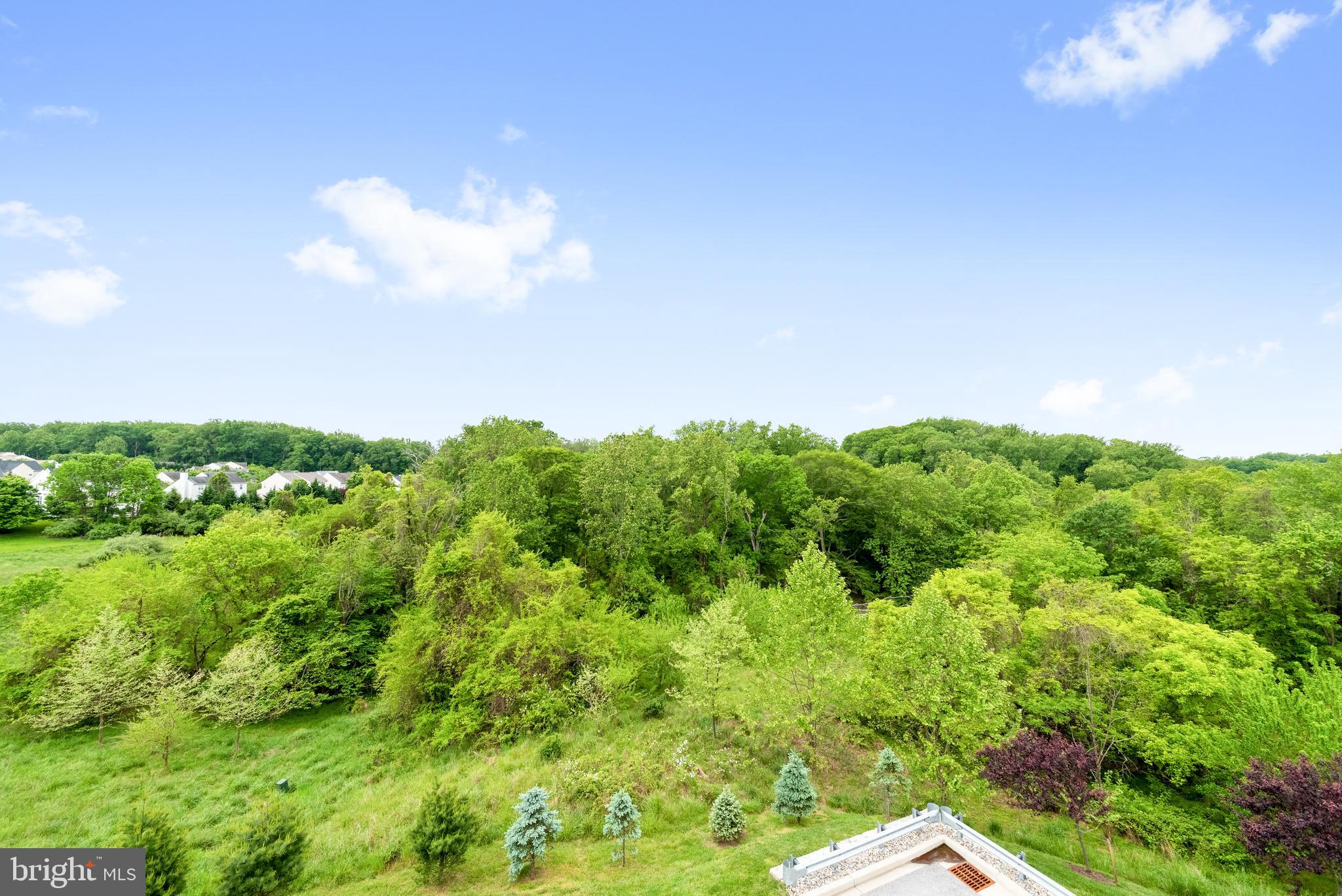 TAYLOR VILLAGE - Residential