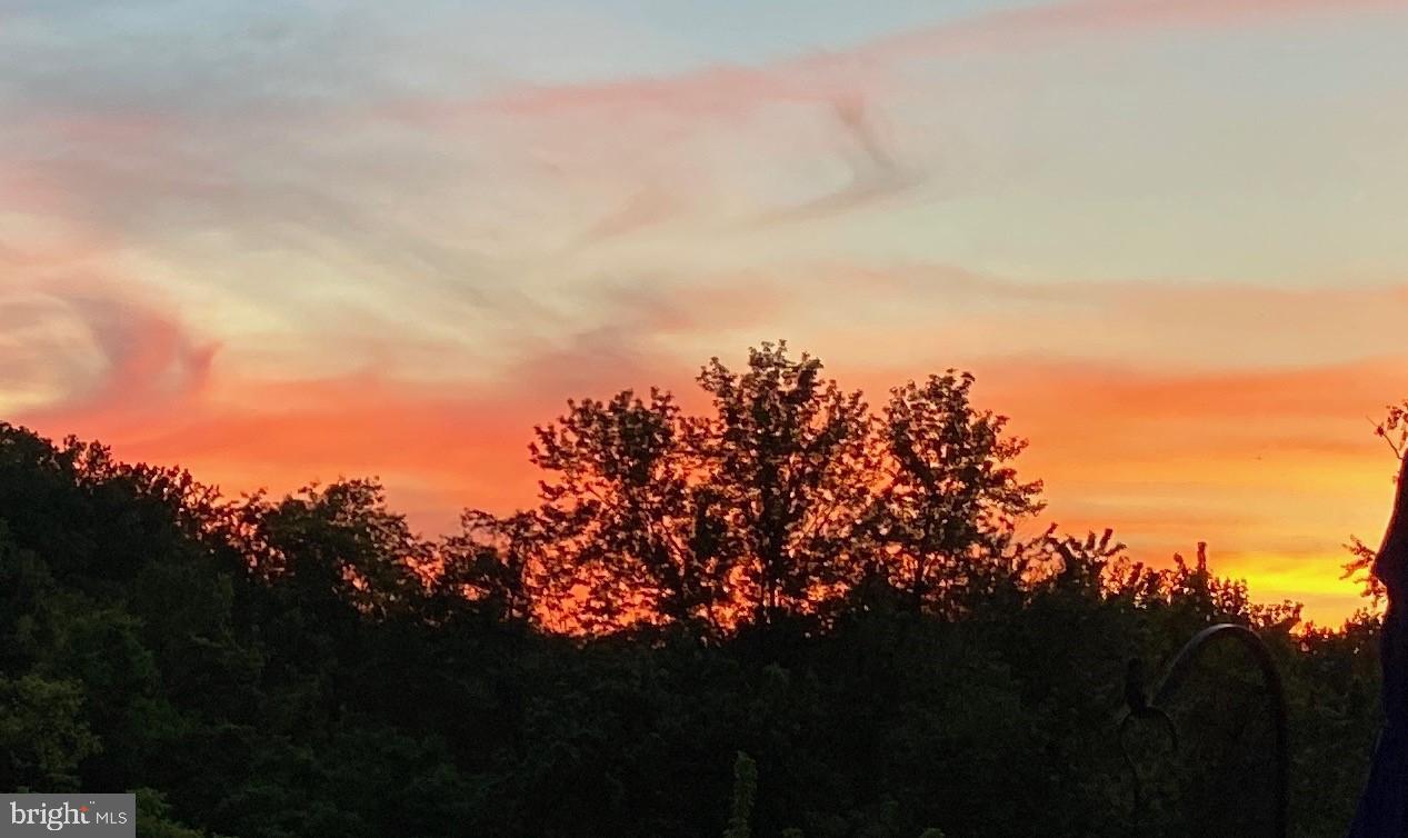 TAYLOR VILLAGE - Residential