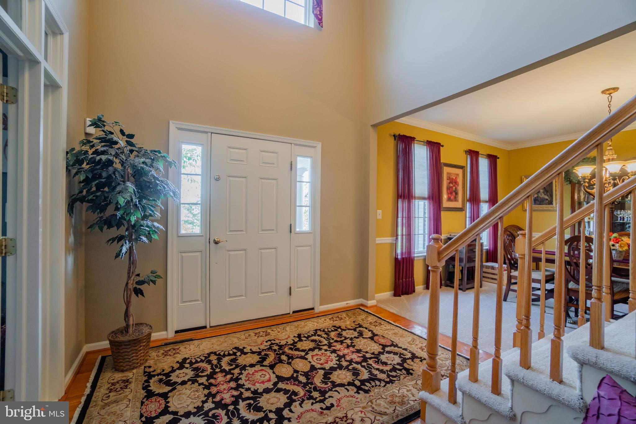 BELLA VISTA - Residential