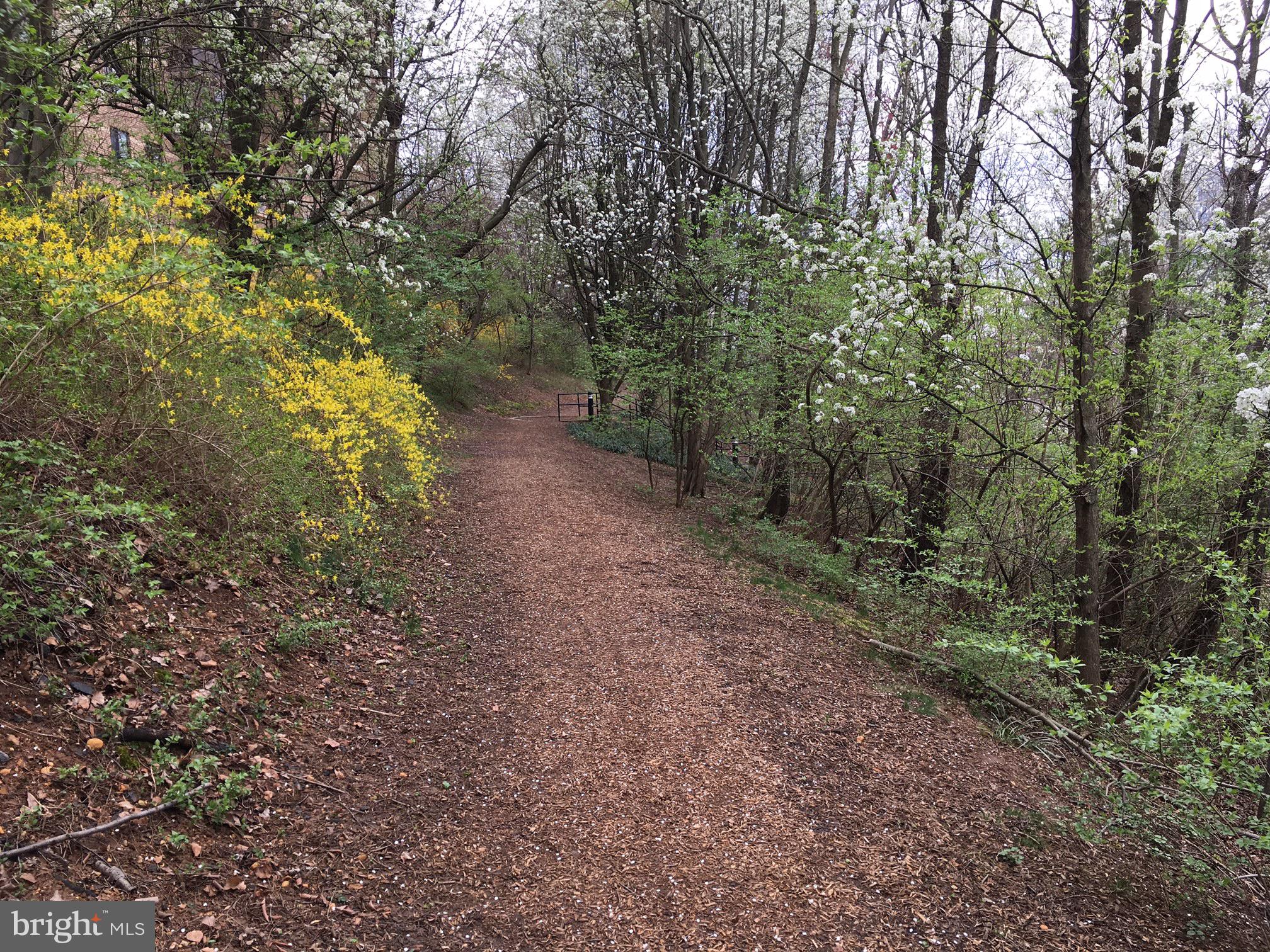 ROTONDA - Residential