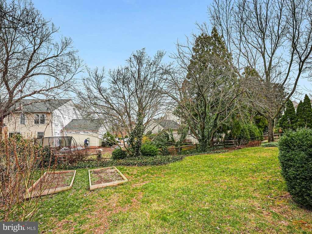 listing image 74