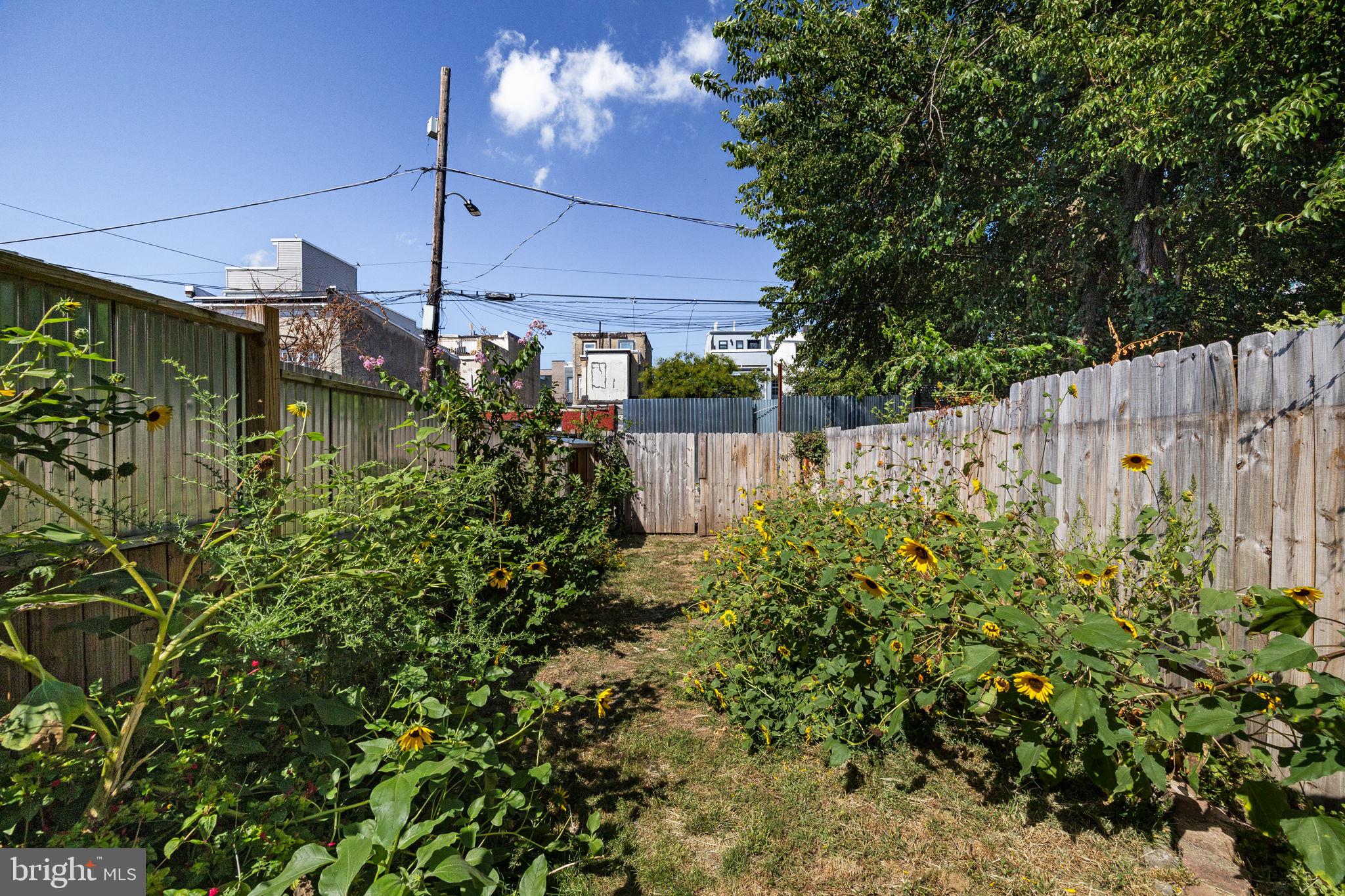 EAST KENSINGTON - Residential