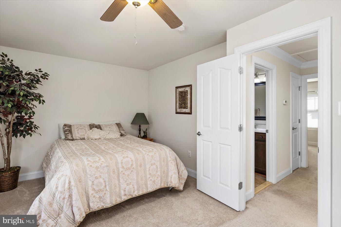 FOX CHASE - Residential