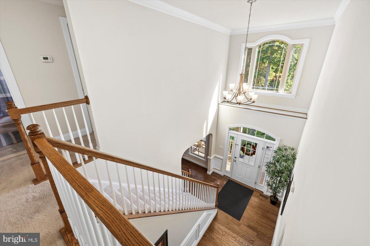 FOX CHASE - Residential