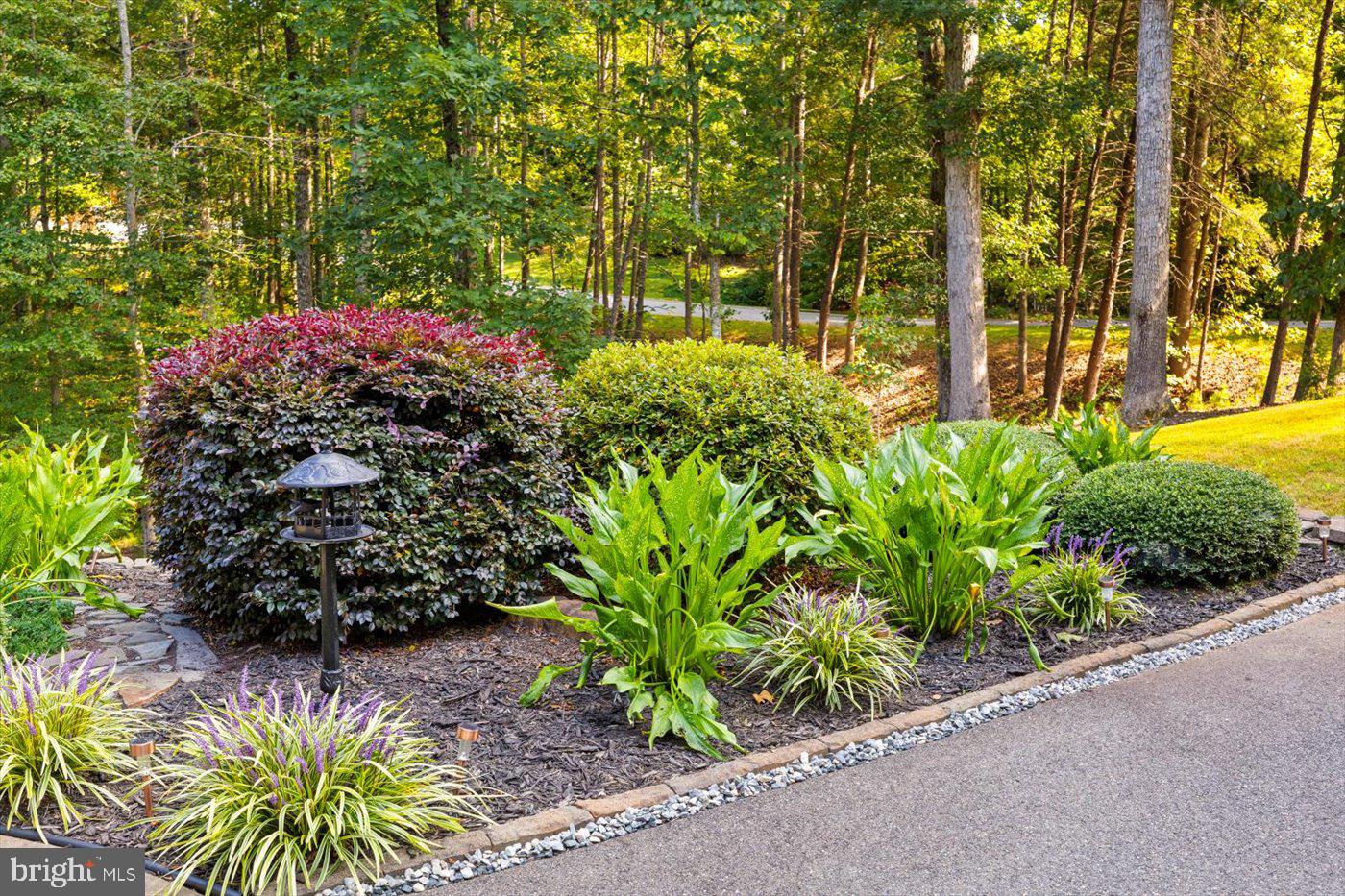 FOX CHASE - Residential