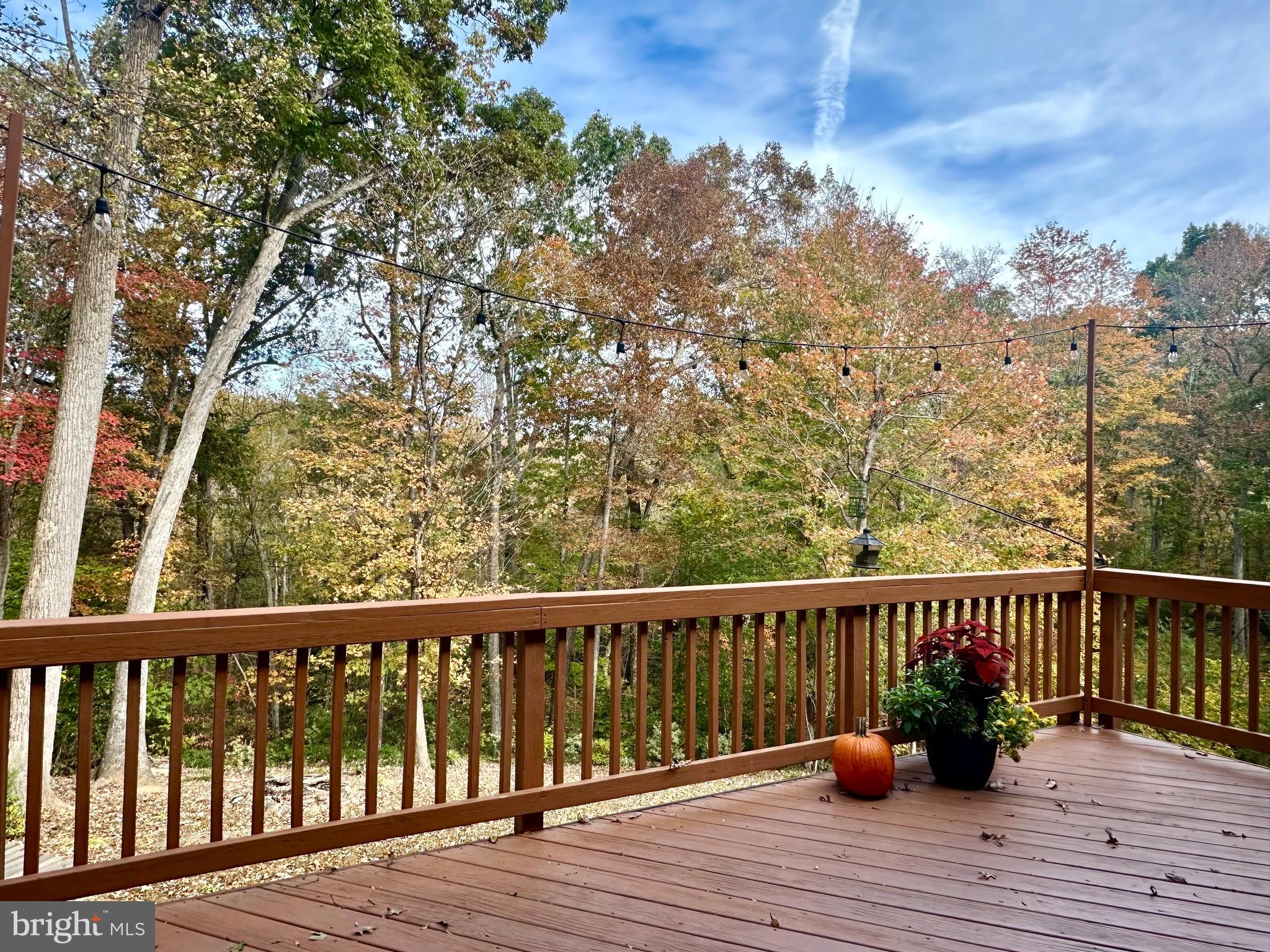 FOX CHASE - Residential