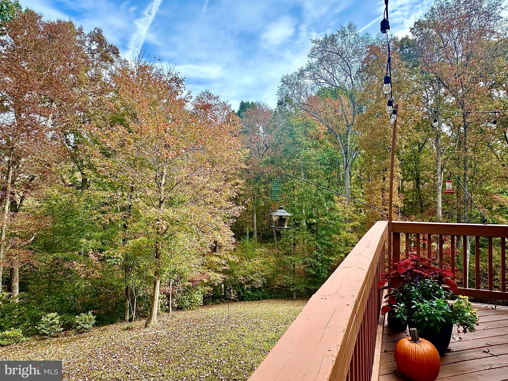 FOX CHASE - Residential