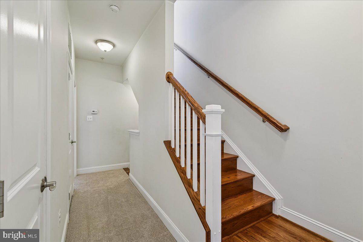 TOWSON GREEN - Residential