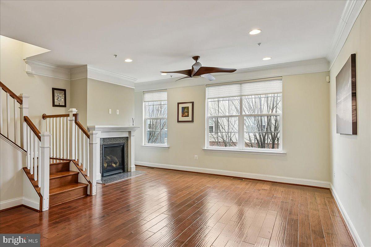 TOWSON GREEN - Residential