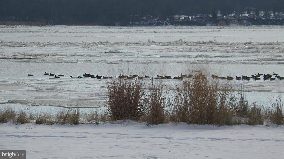 ROLLING HILLS (CHESAPEAKE ISLE) - Land
