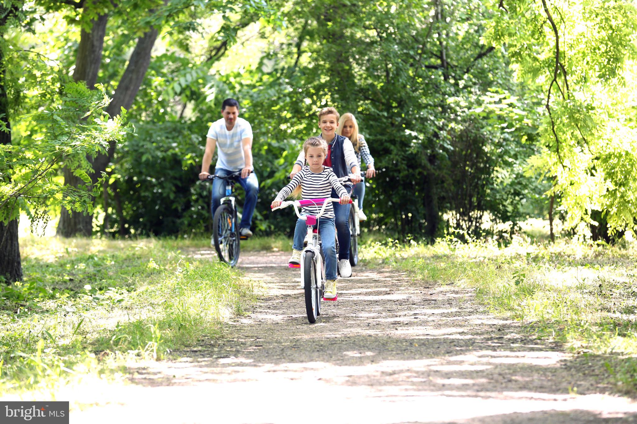 LEXINGTON POINTE - Residential