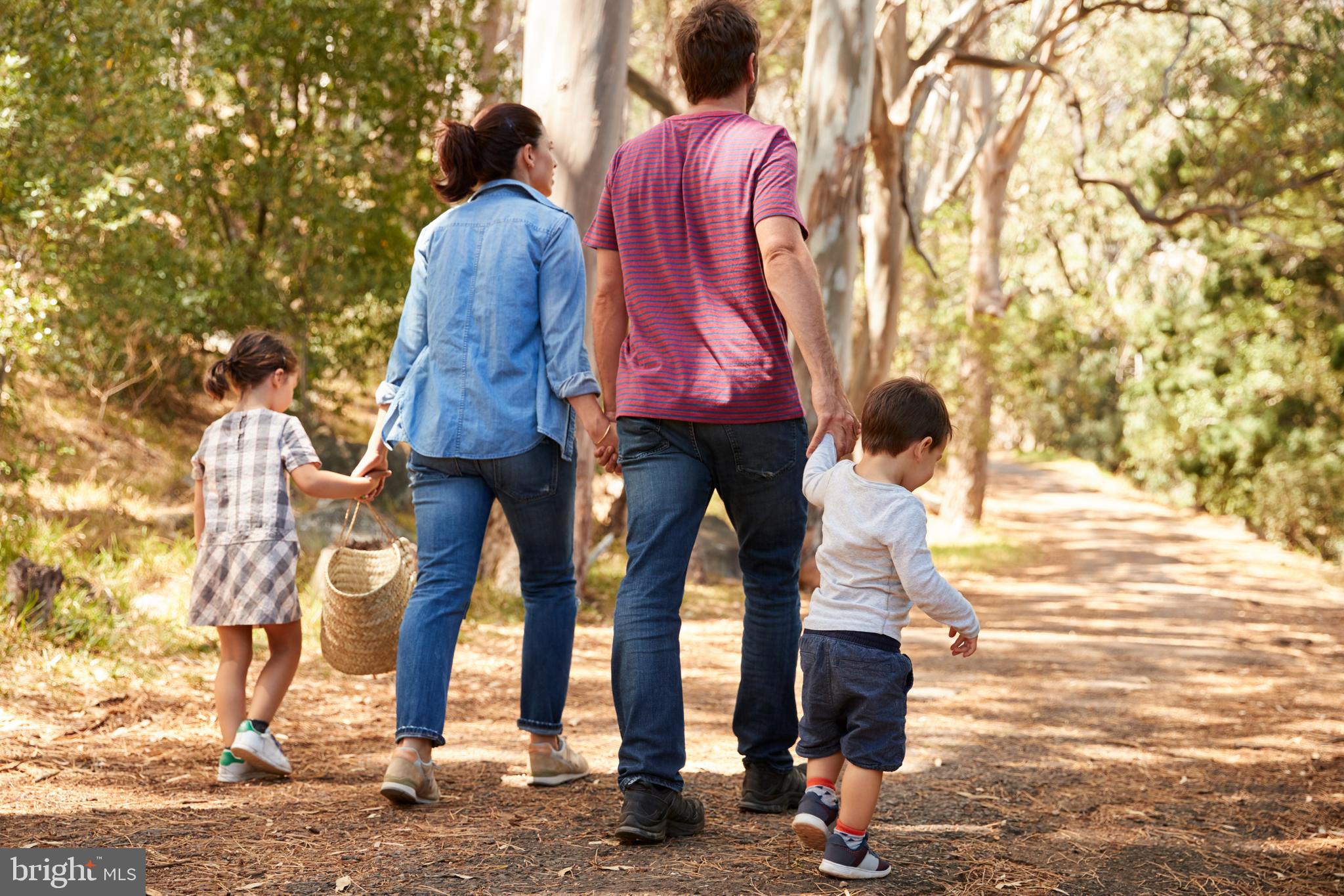 LEXINGTON POINTE - Residential