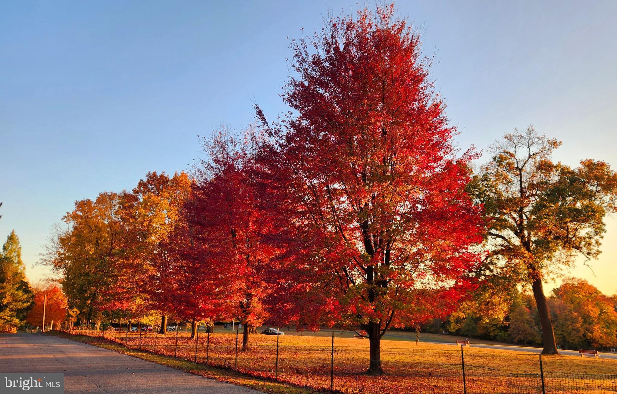 MALVERN BORO - Residential
