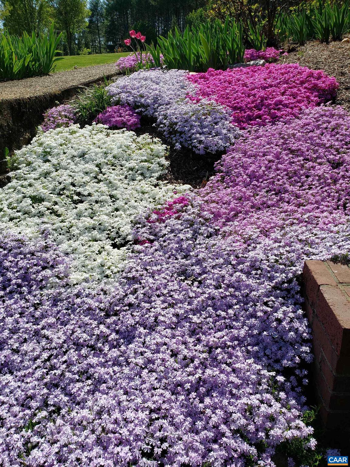 FREEDOM ESTATES - Residential