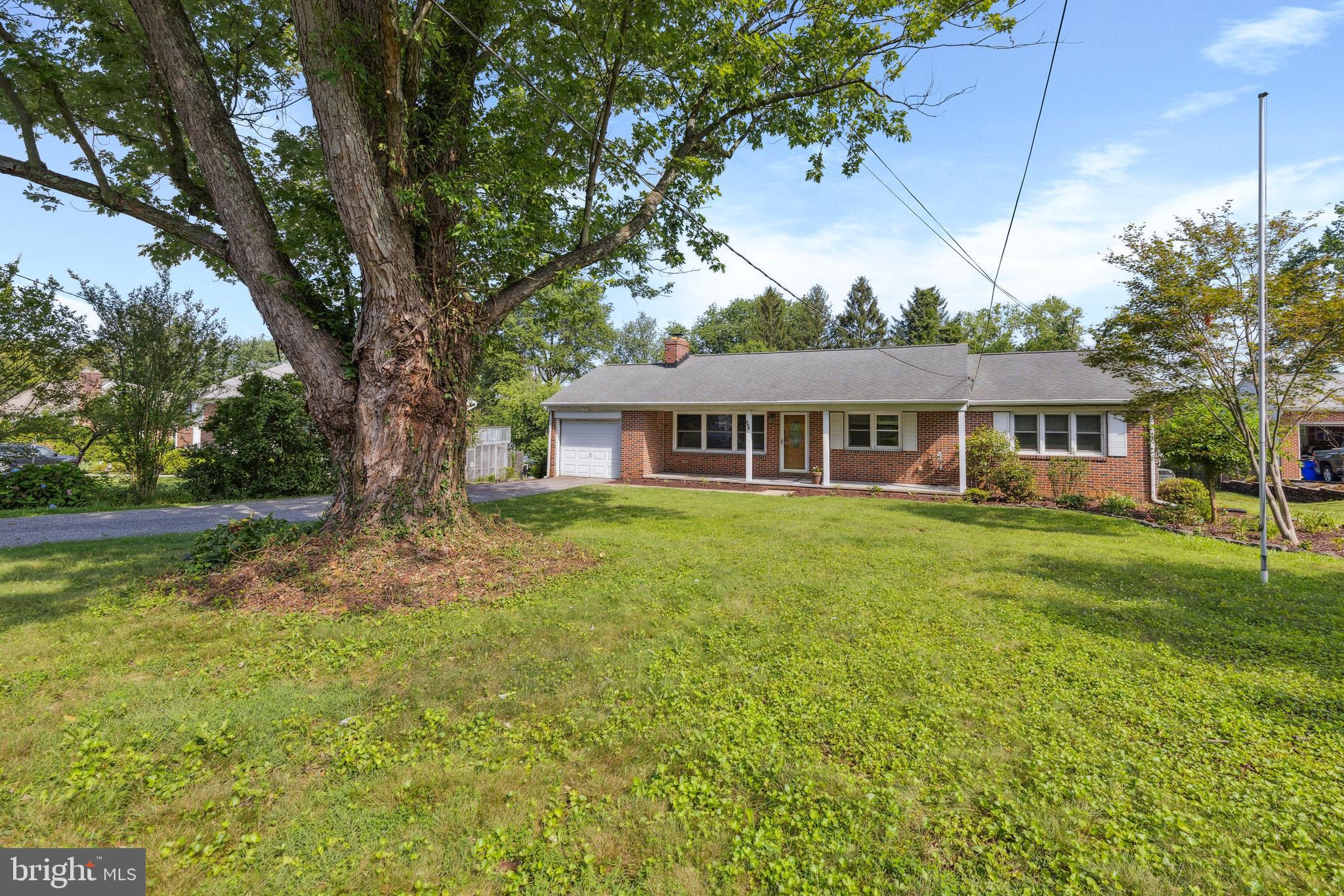 500 PLUMTREE ROAD