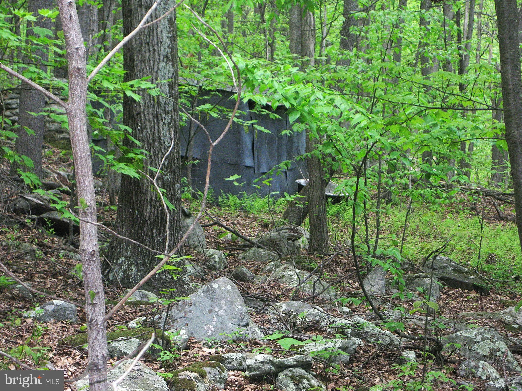 Three Springs, Pennsylvania 17264, United States, ,Land,Active,143876