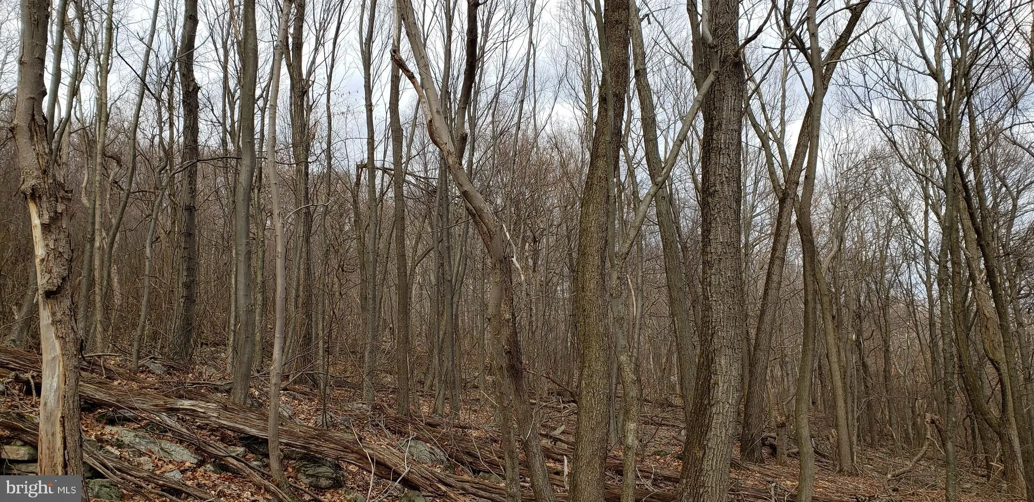 Three Springs, Pennsylvania 17264, United States, ,Land,Active,143876