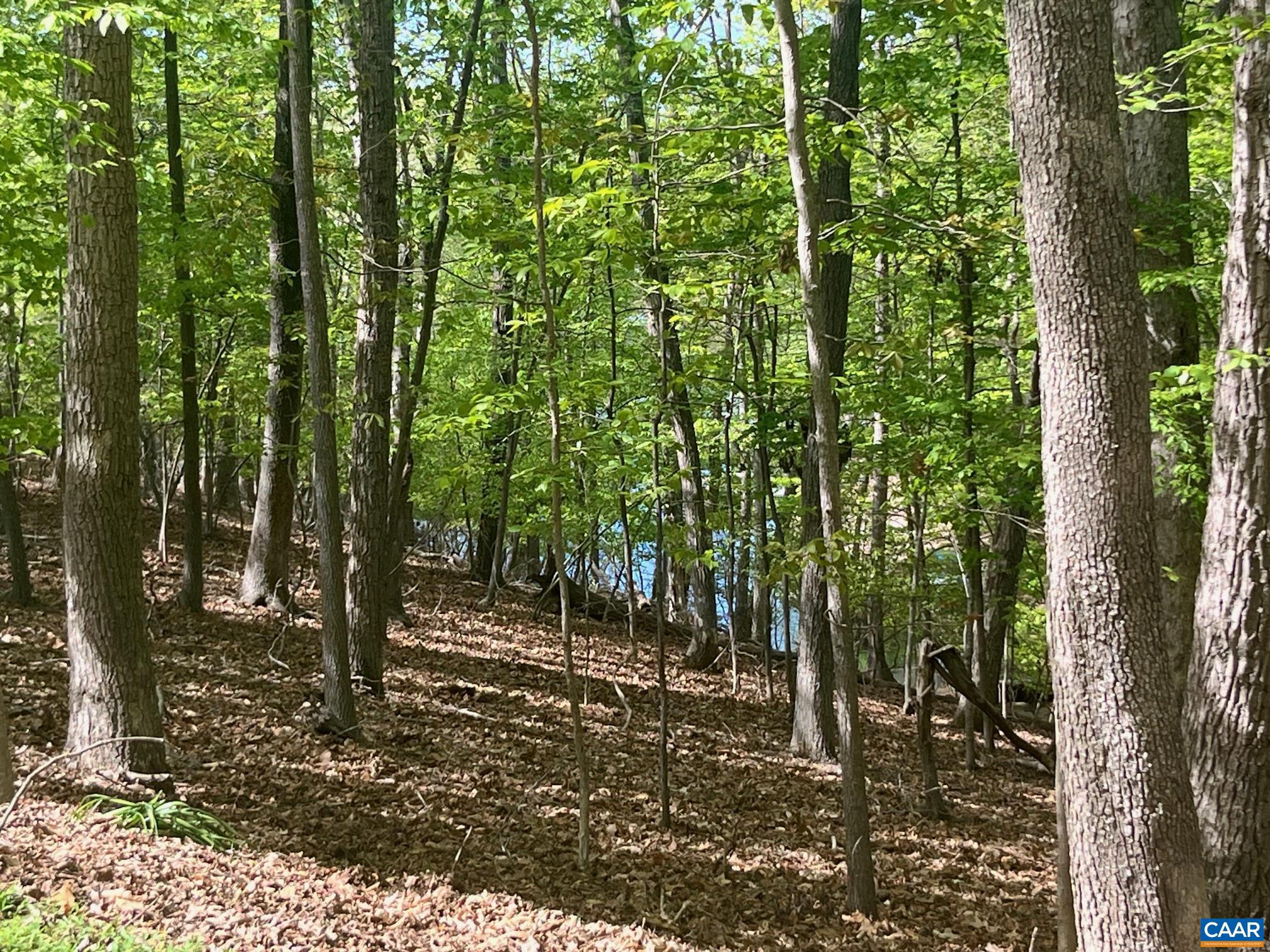 LAKE MONTICELLO - Land