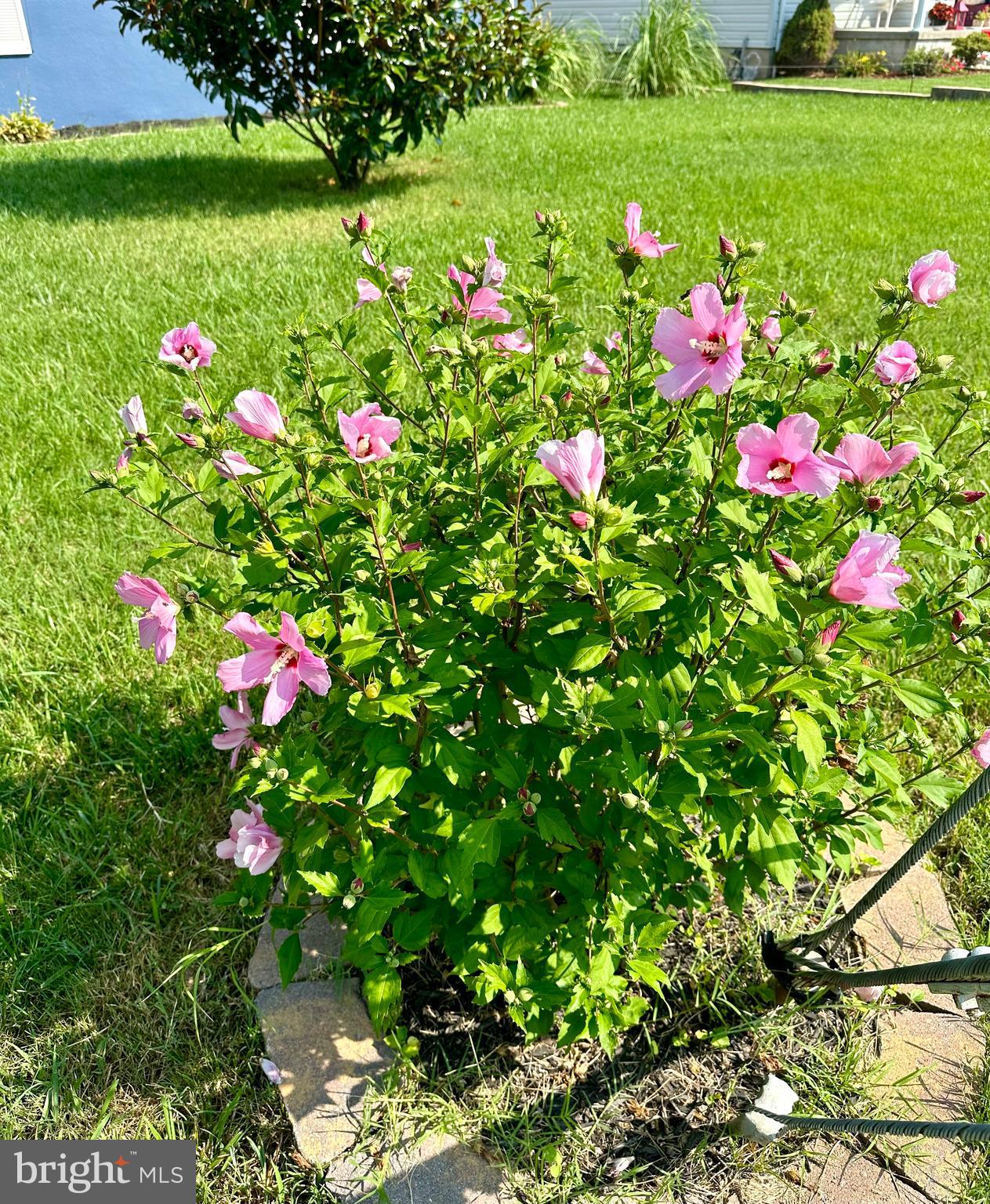 ORCHARD BEACH - Residential