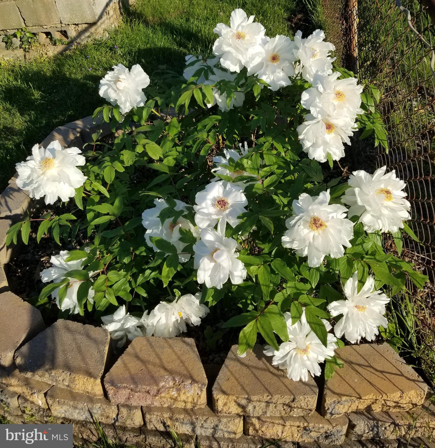 ORCHARD BEACH - Residential