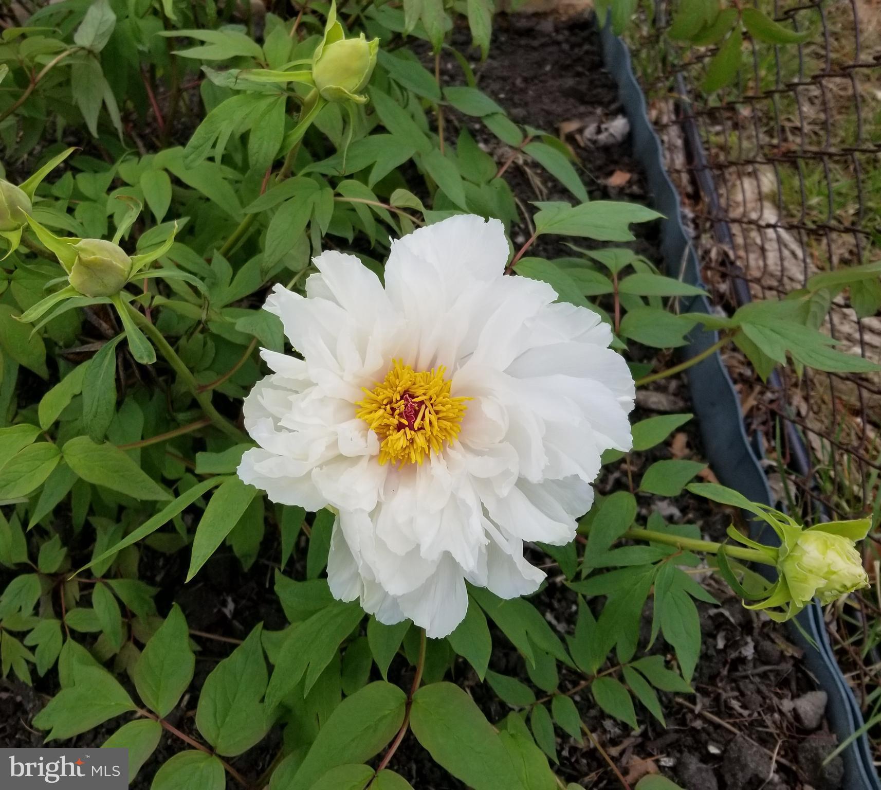 ORCHARD BEACH - Residential