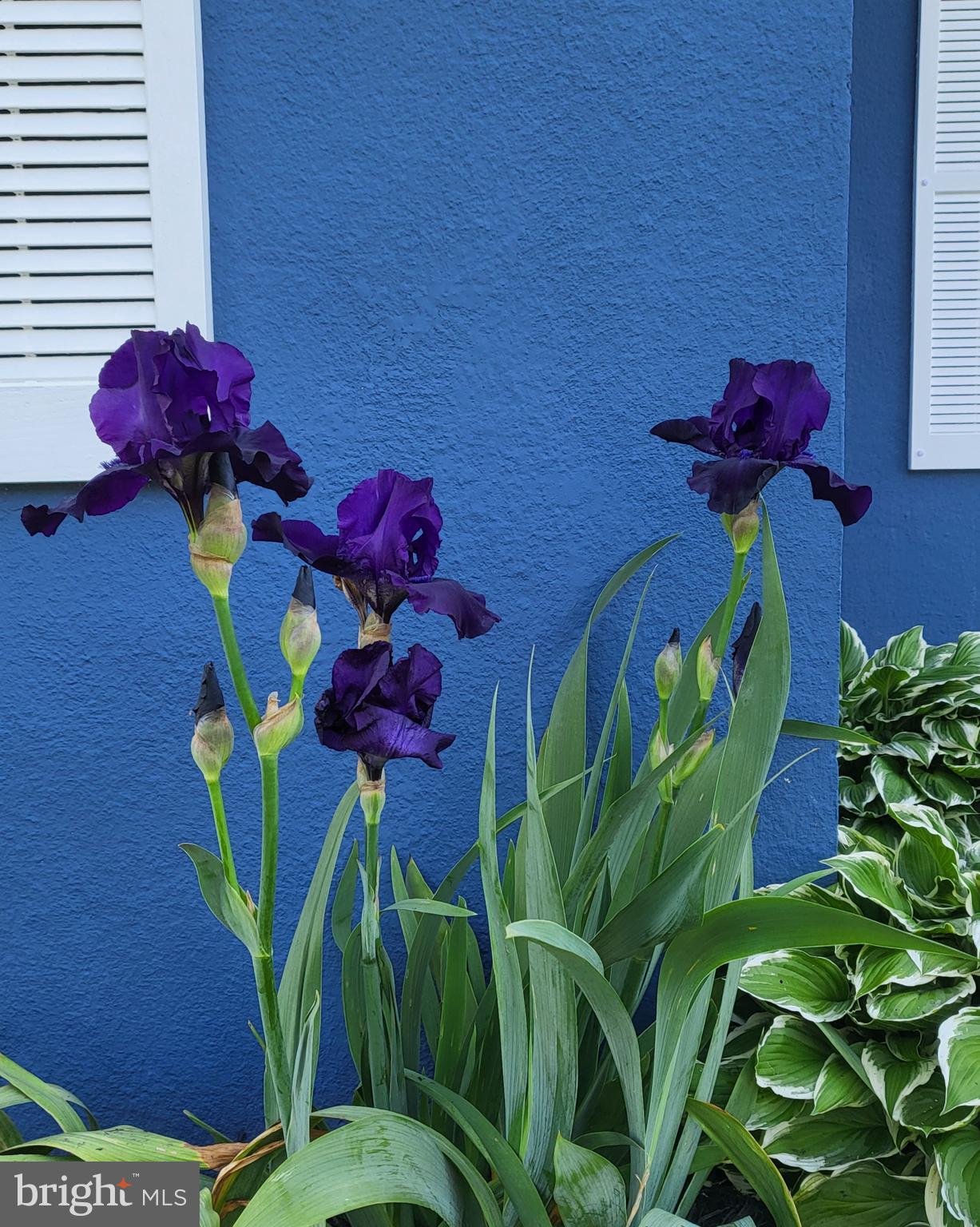 ORCHARD BEACH - Residential