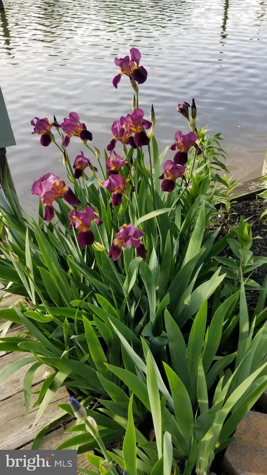 ORCHARD BEACH - Residential