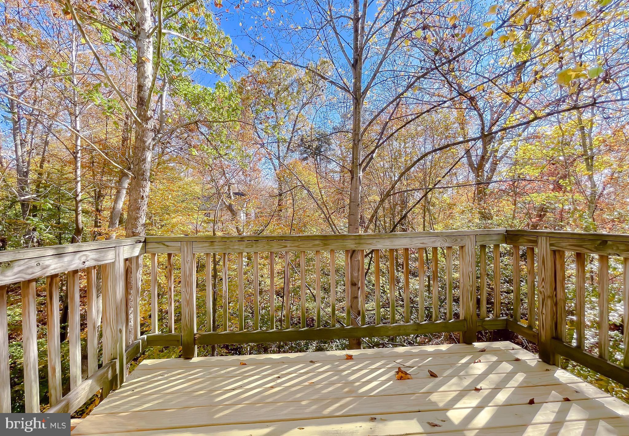 CHESAPEAKE RANCH ESTATES - Residential