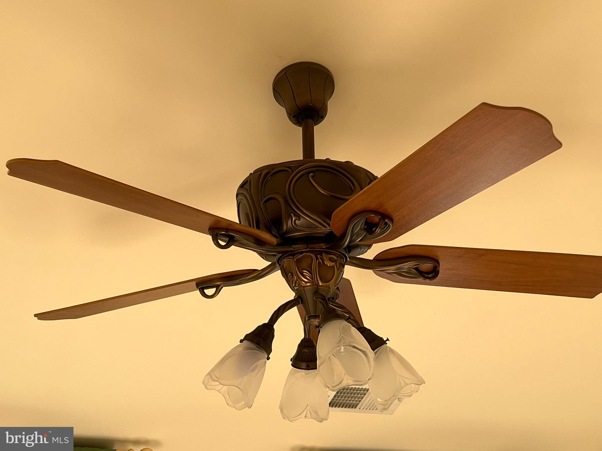 CAMBRIDGE HEIGHTS - Residential