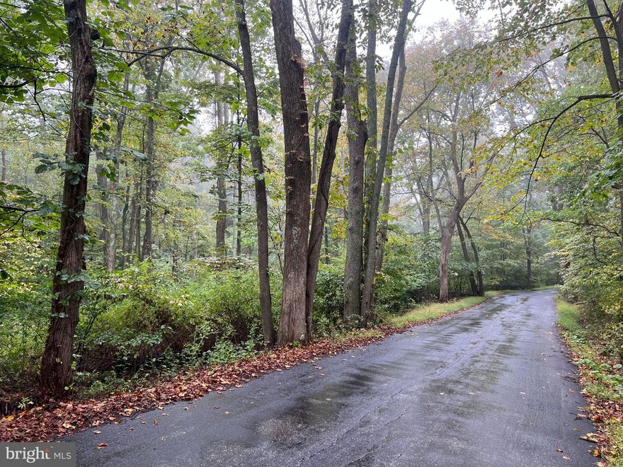 BEAUTIFUL 4.41± ACRES OF VACANT LAND! Come and enjoy Northern Frederick County! The drive up Tower Rd is enough to fall in love with the area, large mature trees line the road giving this property a private and secluded feel! Wildlife abounds including deer and turkeys! Conveniently located in Frederick County, but close to Smithsburg, MD! Property is also positioned very close to Cunningham Falls State Park. Do not miss out on this opportunity! This property will be offered at auction on Friday October 27, 2023  @ 3:00pm.

This property will be offered as an individual tract, combination of tracts, or as a whole.

Tract 1- Custom brick home on 11.66± acres. Beautiful setting with abundant wildlife.
Tract 2- Charming cottage-style home positioned on 55± acres, beautiful pond, wooded land, and wildlife!
Tract 3- 3.9+- acres of wooded land with road frontage on Tower Dr
Tract 4- 4.4+- acres of wooded land on Tower Dr.