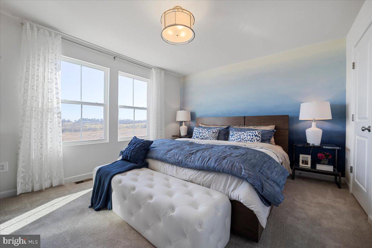 DILLON FARM - Residential