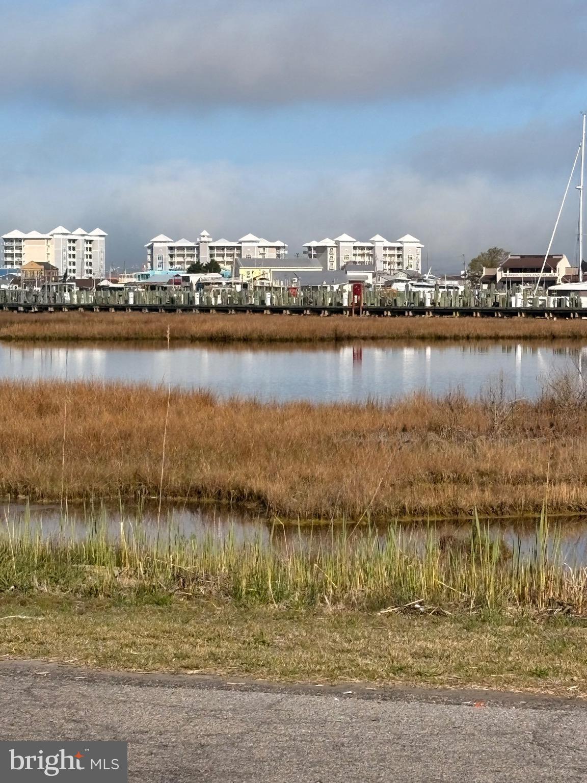 HAMMOCK POINTE - Land