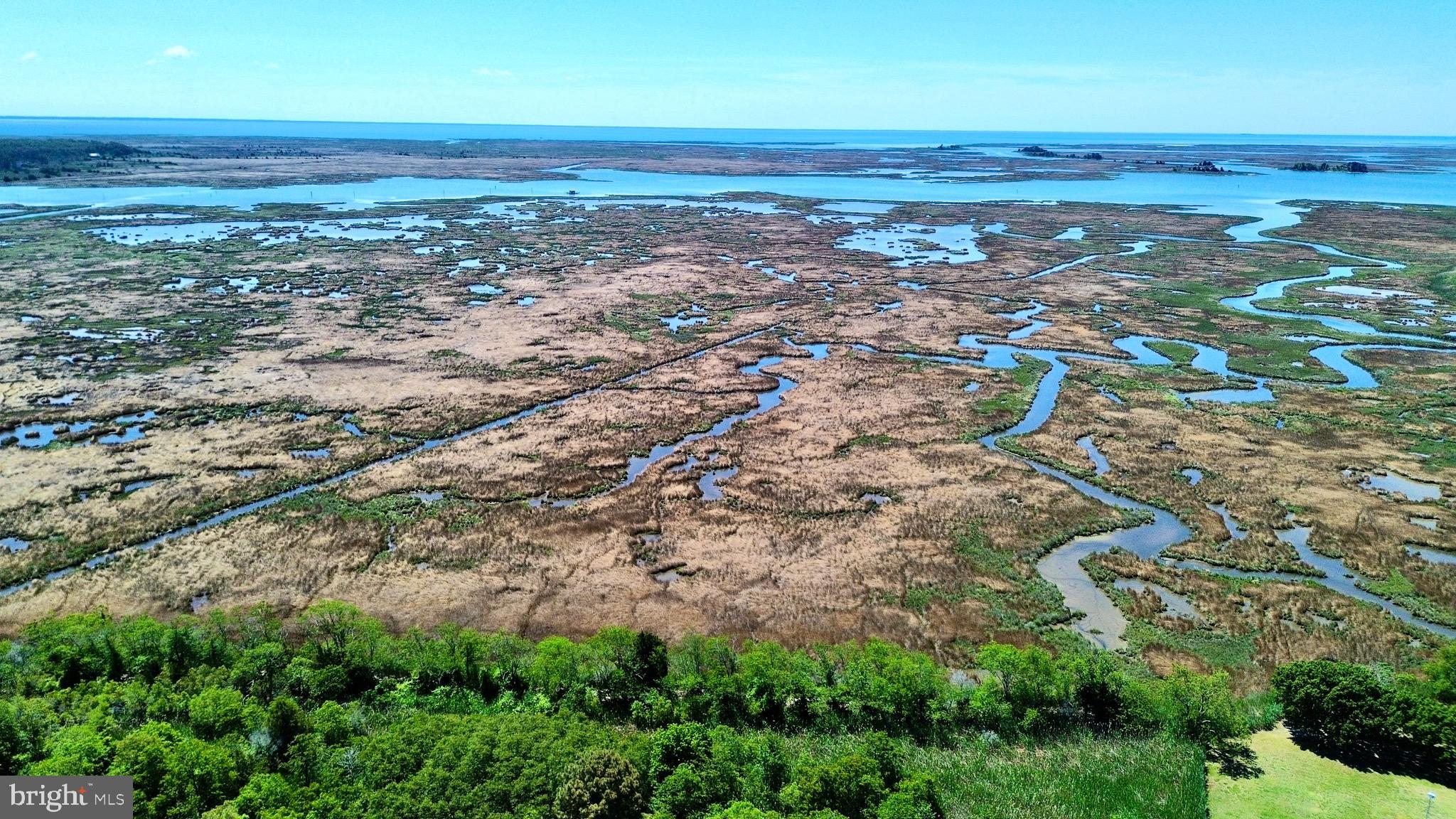 HAMMOCK POINTE - Land