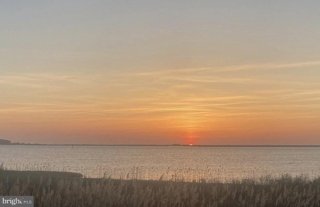 HAMMOCK POINTE - Land