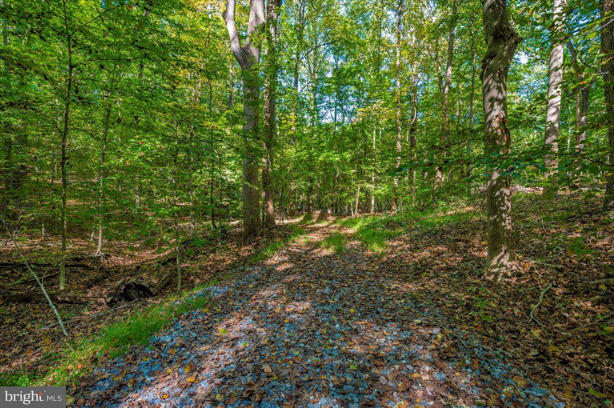JESSE SMITH ROAD