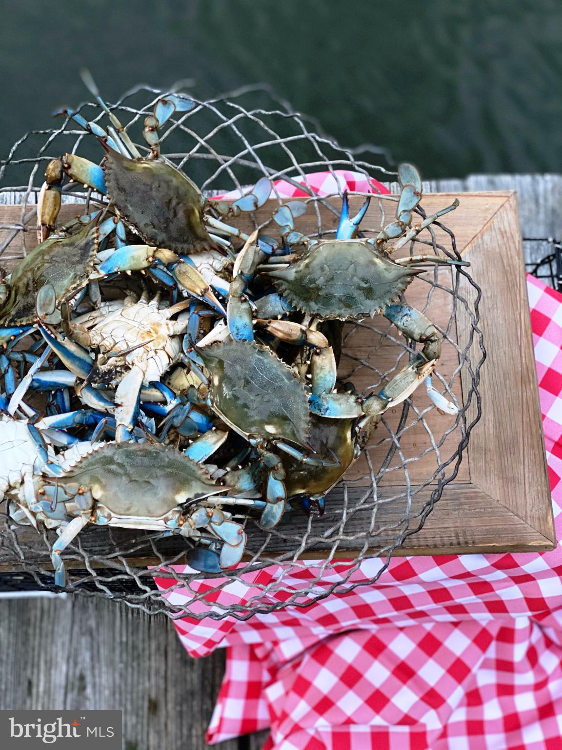 ST MICHAELS - Residential