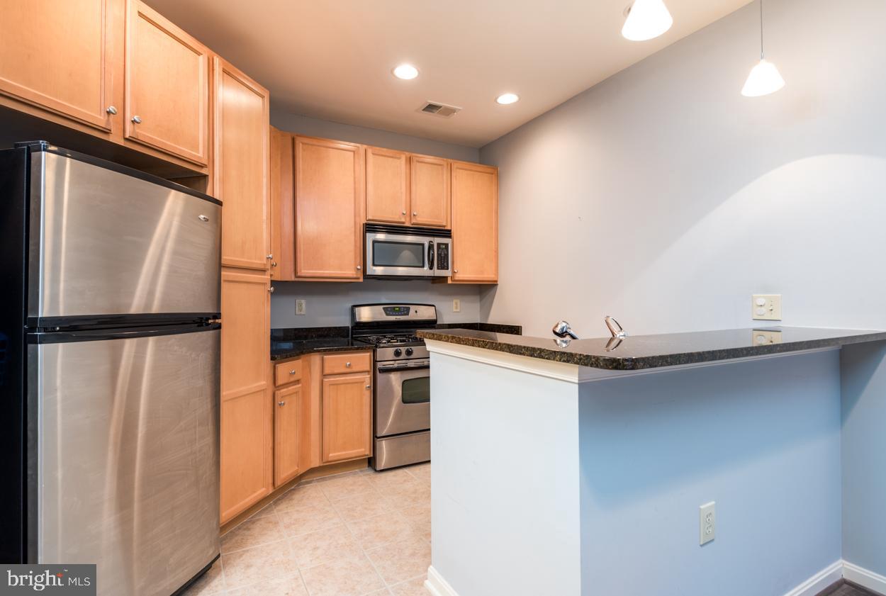 HALSTEAD AT THE METRO - Residential Lease