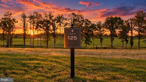 Vacant Land For Sale - LOT 125 Tatum Drive<br/> MINERAL, VA 23117